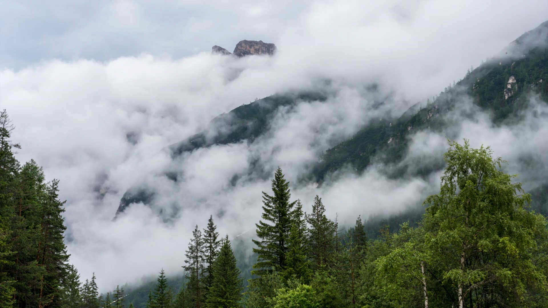 Responsibility header video fallback image misty forest