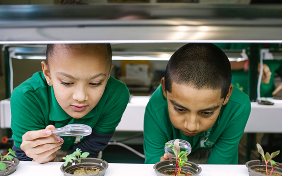 teo children inspecting plants