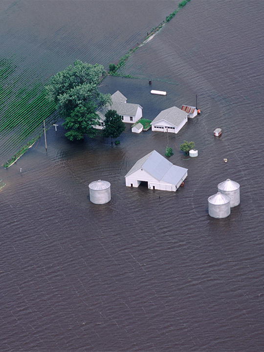 Neptune Flood Portrait 1 flooded farm