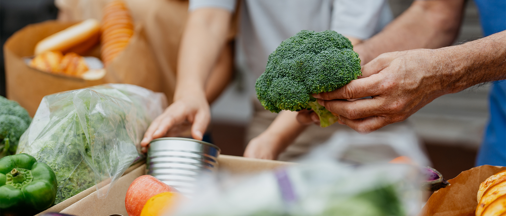 General Header 6 Hands holding vegetables