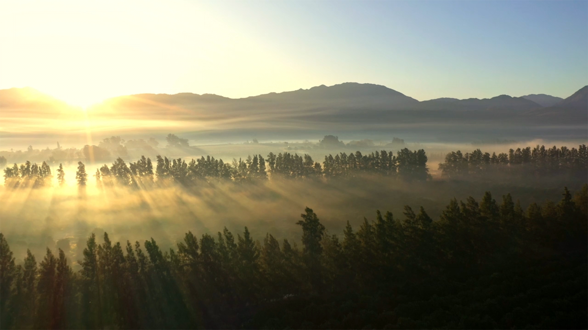 Report Cover 1920X1080