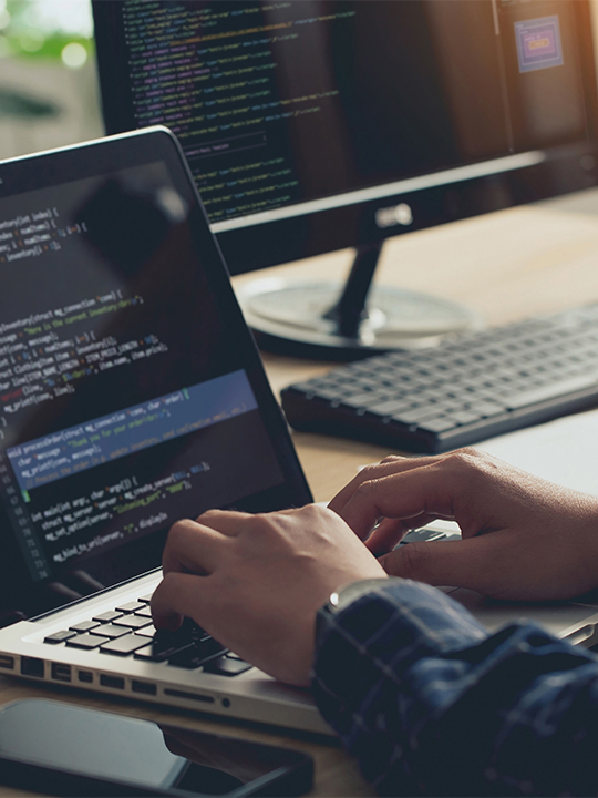 Scorpion Portrait 2 code on laptop and monitor