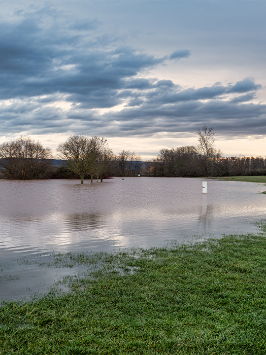 Neptune Flood Portrait 3 flooded field