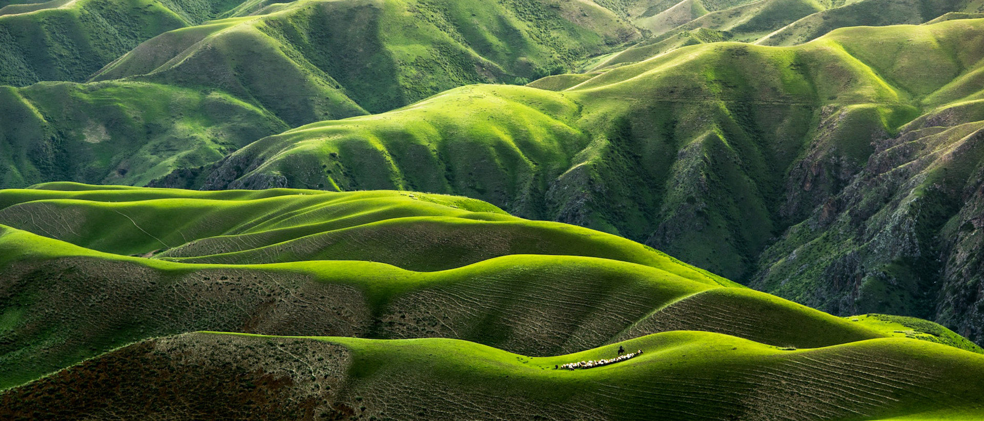 Bregal RIR 2023 Cover 1920X823 green hills