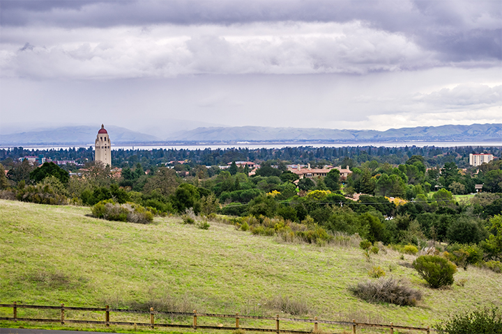 Office Landscape Palo Alto, USA