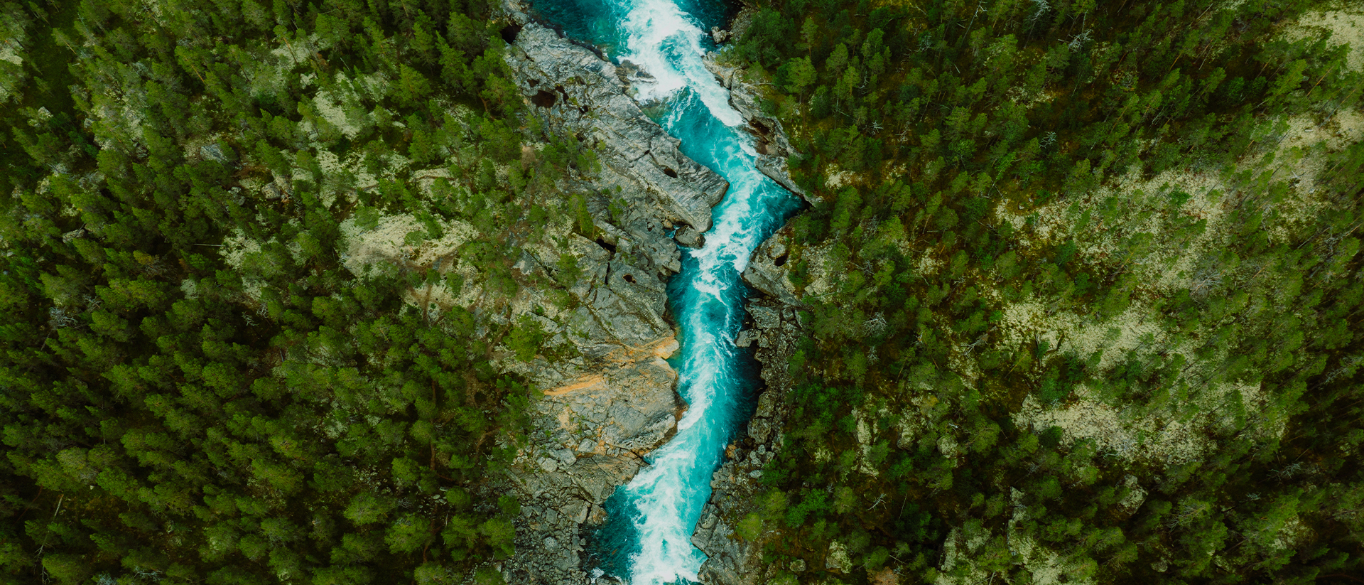 Generic Header 32 River running through forest