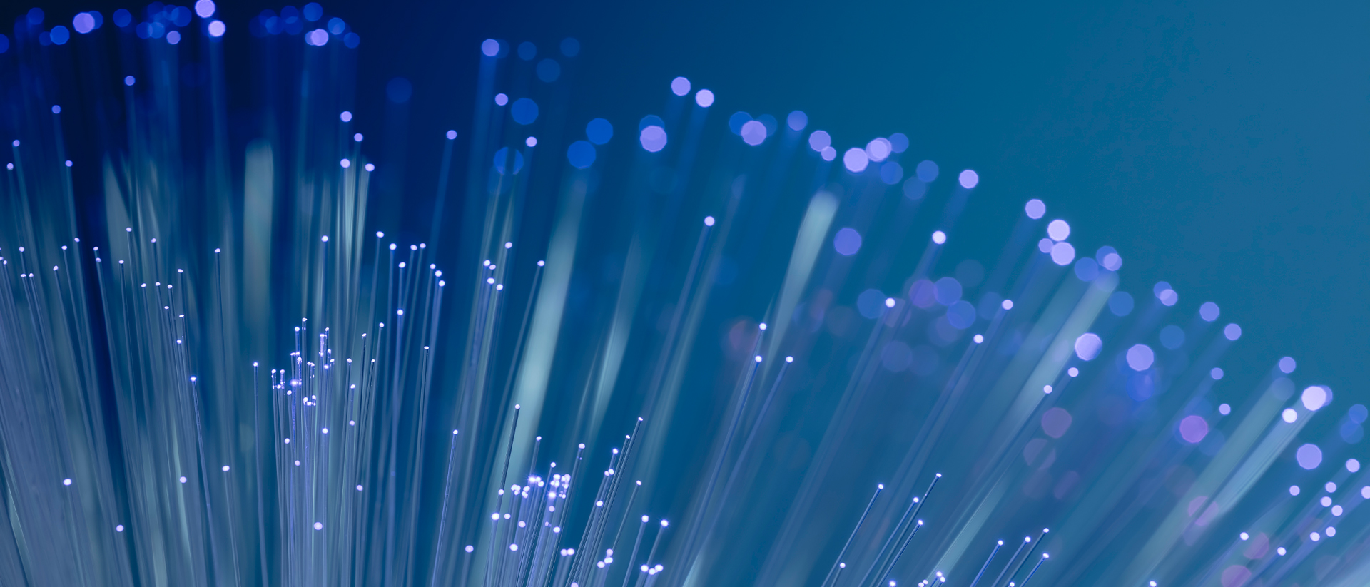 Horizon header image close up fibre optics