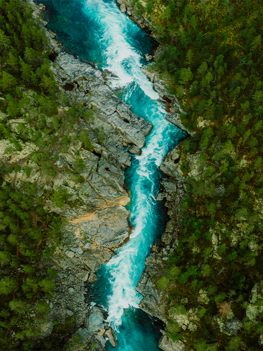 Generic Portrait 32 river through rock and forest