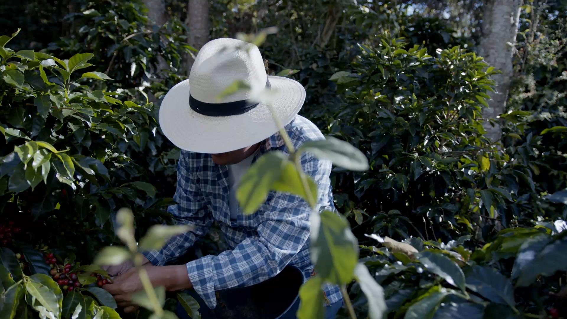 farmer working