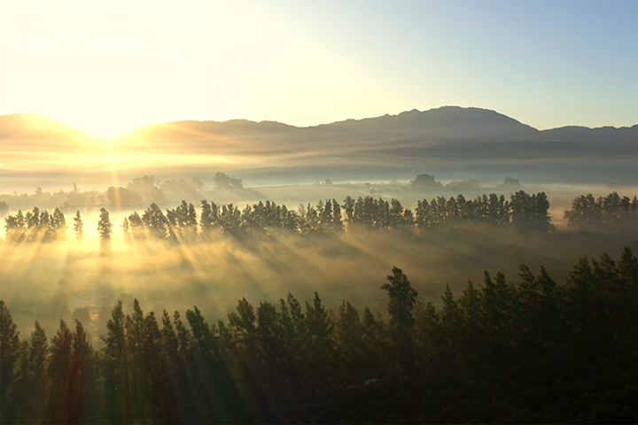 Report Cover 720X480