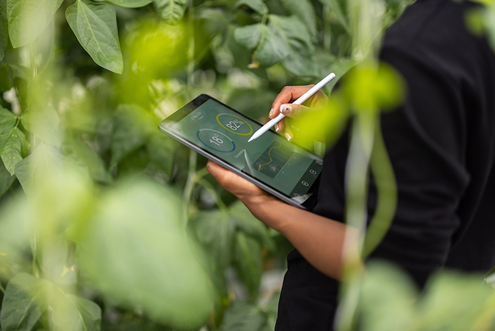 person working on tablet surrounded by greenery