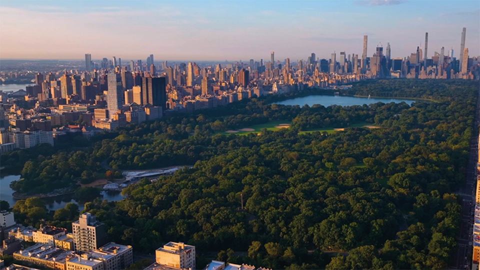 NYC Background