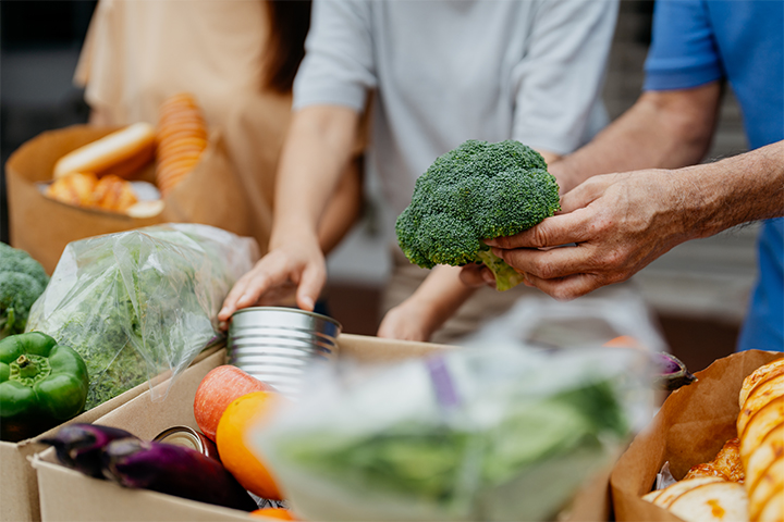 General Landscape 6 people packing vegetables